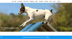 Desktop Screenshot of floridaagility.com